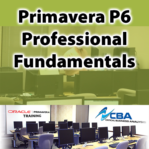 Primavera P6 Professional Fundamentals